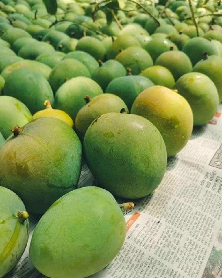 Gobindobhog Aam - Grameen Ponno